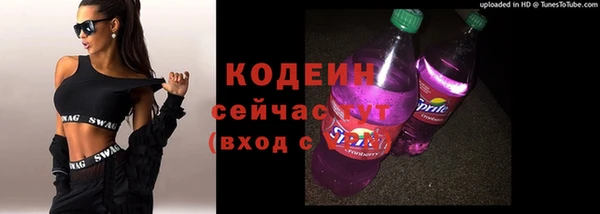 СК Болотное