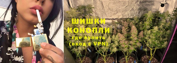 СК Болотное