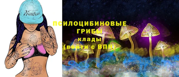 СК Болотное