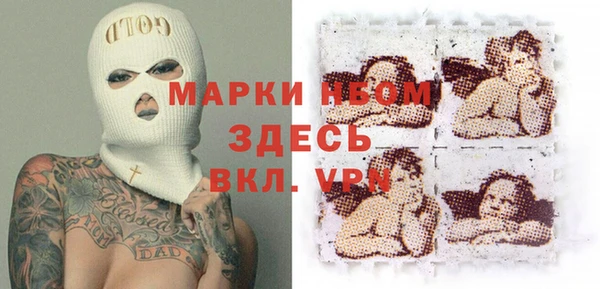 СК Болотное