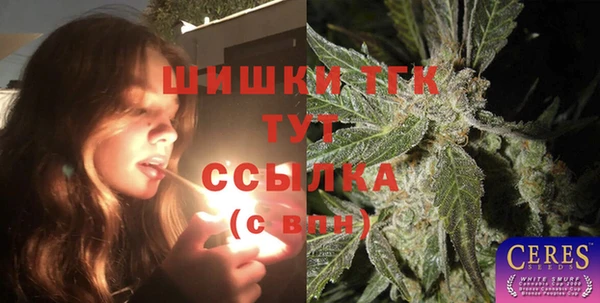 СК Болотное
