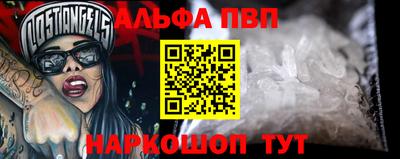 СК Гатчина