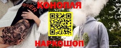 СК Гатчина