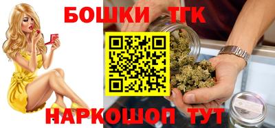 СК Гатчина
