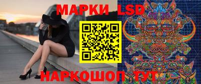 СК Гатчина