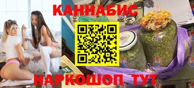 СК Гатчина