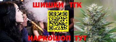 СК Гатчина