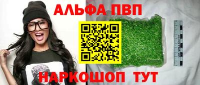 СК Гатчина