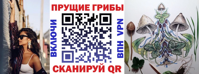 как найти   Кольчугино  нарко площадка наркотические препараты  Галлюциногенные грибы GOLDEN TEACHER 