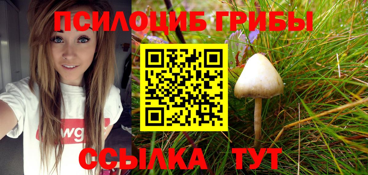 Псилоцибиновые грибы Cubensis Кольчугино