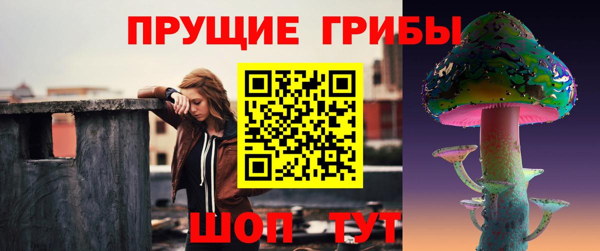 Галлюциногенные грибы MAGIC MUSHROOMS  Кольчугино 